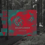 WildFlower - Sarah Kroger