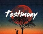 Gratitude Testimony