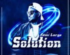 Femi Large Solution