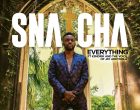 Snatcha Everything ft Voice of Jay Adeyoola K3ndrick mp3 image