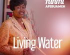 Funmi Afebuameh Living Water 140x110