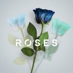 [Music] Roses - Matthew Parker & Sajan Nauriyal