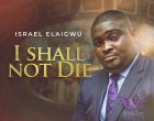 Israel Elaigwu I shall not die 140x110