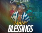 Many Blessings Ethan Otedola 140x110