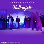 [Music] Hallelujah – Joshua Godwin