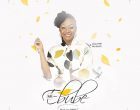 IDI EBUBE ART COVER MAIN 140x110