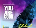 You Are Good Shekinah 140x110