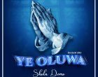 Shola Demo Ye Oluwa 1 140x110