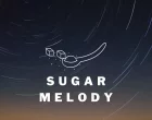 ArtWork Sugar Melody 140x110