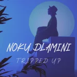 [Music] Tripped Up - Noku Dlamini