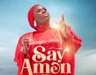 Diana Hamilton – Say Amen 3 140x110