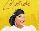 IDI EBUBE Artcover 140x110