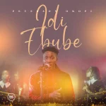 [Music] Idi Ebube - Peterson Okopi
