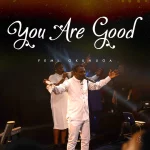 [Download] You Are Good - Femi Okunuga