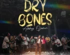 Dry Bones Abbey Ojomu 140x110