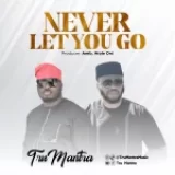 [Music] Never Let You Go – Tru Mantra