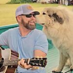 George Case Releases “That Doggone Song” To Radio