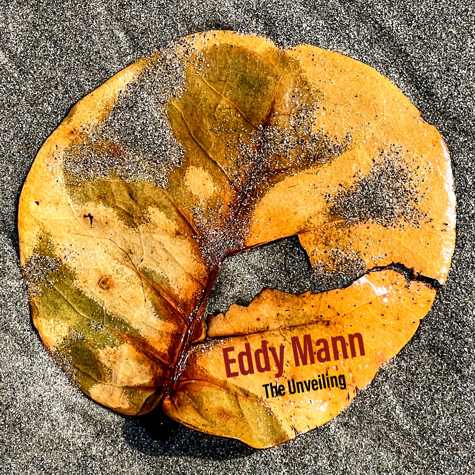 Eddy Mann – The Unveiling: A Soundtrack to Faith’s Final Chapter