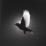 [Album] Instrumental Worship Collection - Maverick City Music