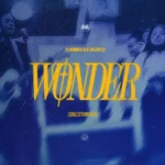 [Video] Wonder - Sunmisola Agbebi Ft. Kaestrings